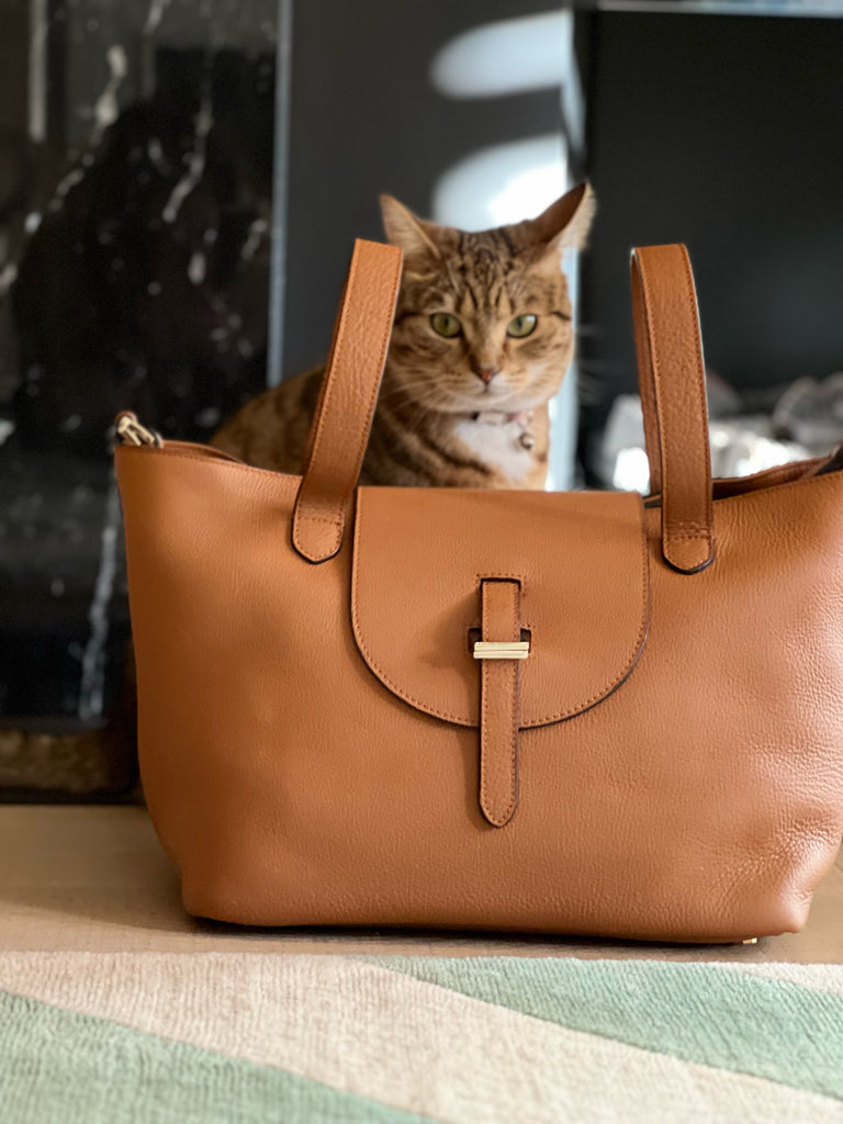 Tan tote deals bag with zipper